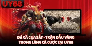 Đá Gà Cựa Sắt - Trận Đấu Vàng Trong Làng Cá Cược Tại UY88