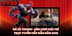 Đá Gà Thomo - Sân Chơi Giải Trí Trực Tuyến Hấp Dẫn Năm 2026